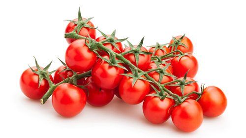 elcamaleonverde.com Comprar online tomate cherry en rama