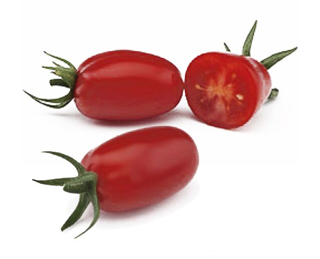 elcamaleonverde.com